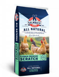 Premium Sractch Grain web