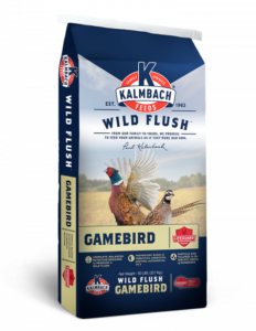 Wild-Flush-759