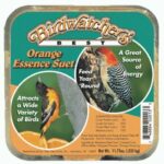 birdwatchers orange essence suet
