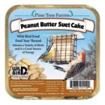 pine tree peanut butter