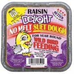 raisen delight