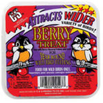 suet berry treat
