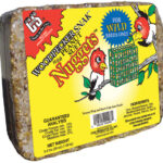 woodpecker suet 2