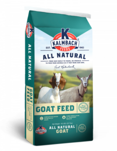 Goat Kalmbachweb (1)