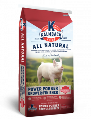 large-Power Porker web
